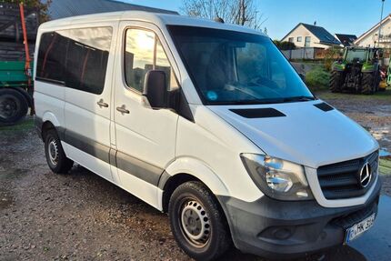 Mercedes-Benz Sprinter 185.600 km 22.999 € Waldsee 67165