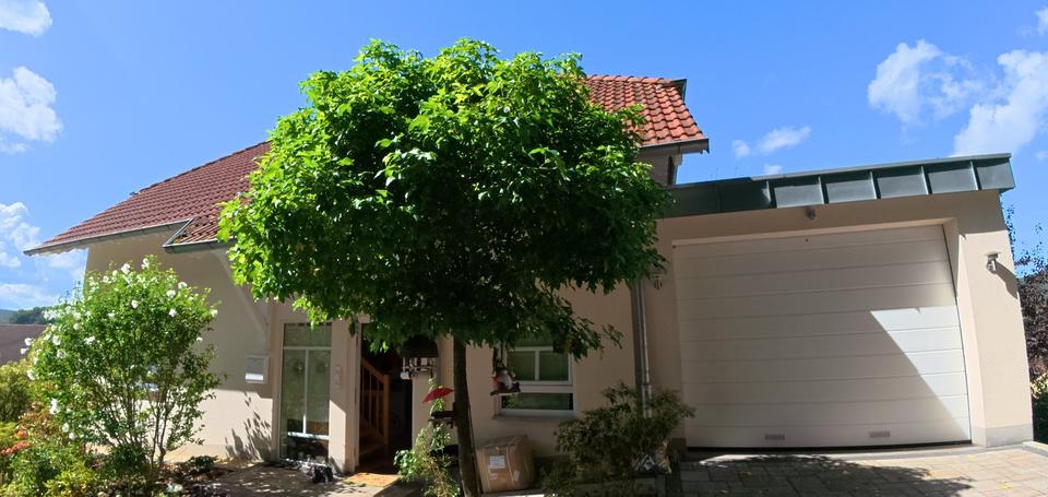 Großes Haus für große Träume mit traumhaftem Ausblick – ohne Prov zimmer