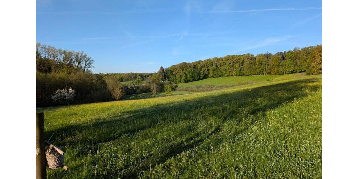 Einfamilienhaus Eislingen (Fils) - 12 Zimmer, 392 m&sup2;, 2.499.000&euro; | Angebot:26382452