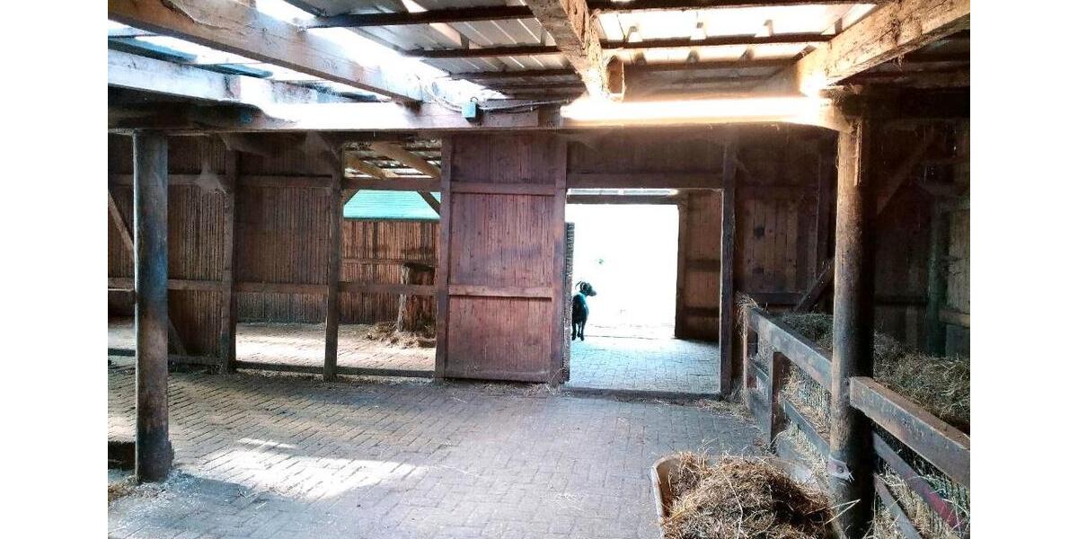 Einfamilienhaus Wiesmoor - 4 Zimmer, 150 m&sup2;, 350.000&euro; | Angebot:26257397