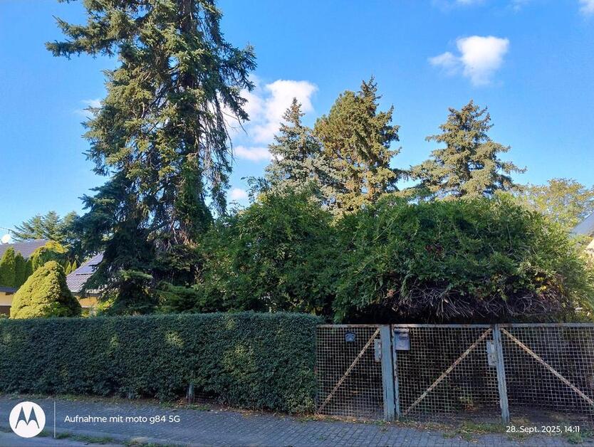 Stadtgrundstück mit Wochenendhaus zimmer