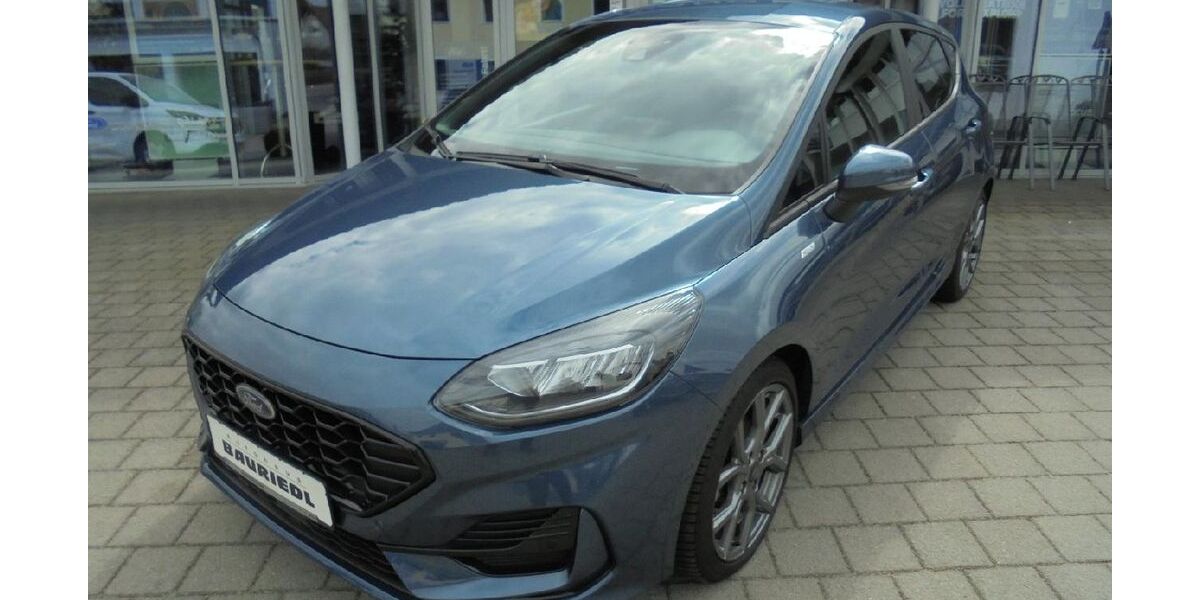 Ford Fiesta 21.400 km 17.690 &euro; Dieterskirchen 92542