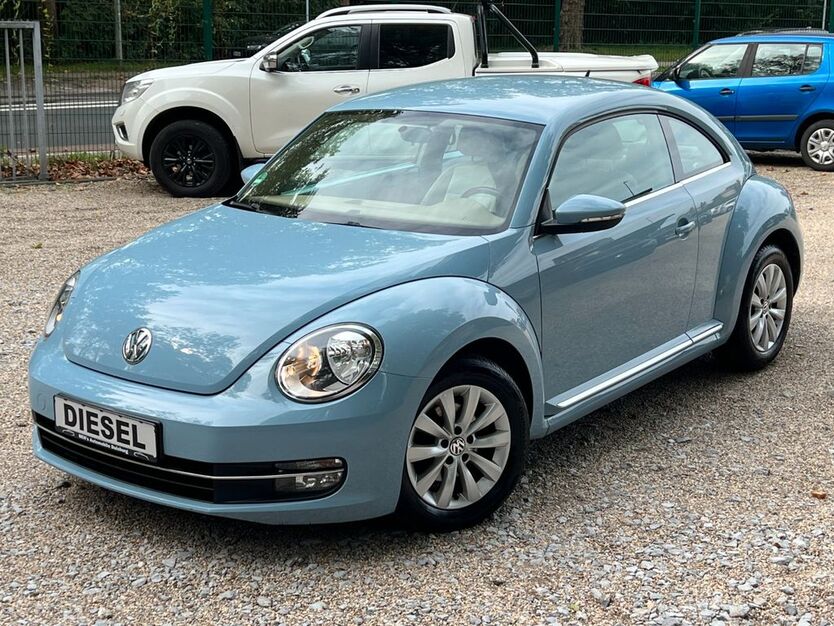 Beetle