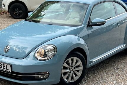 VW Beetle