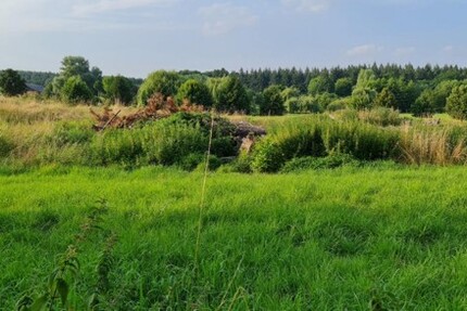 Ganz nah am Tollensesee - Grundstück Penzlin | Angebot:19800428