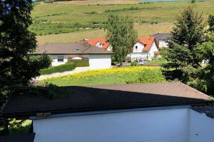 Wohnung zum Mieten in Bingen 680 € 65 m²