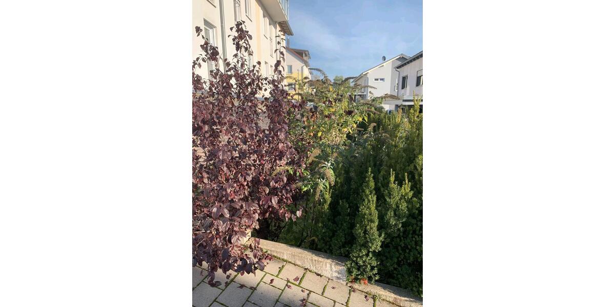 Maisonettenwohnung Weinsberg - 4 Zimmer, 120 m&sup2;, 1.500&euro; | Angebot:26681919