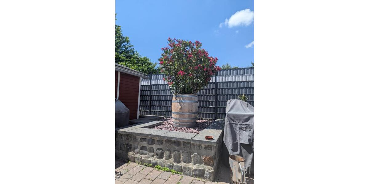 Einfamilienhaus Armsheim - 5 Zimmer, 132 m&sup2;, 630.000&euro; | Angebot:26420673