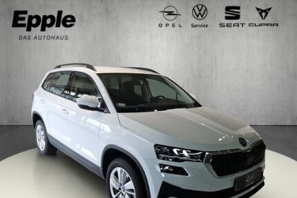 Skoda Karoq 10.046 km 30.890 &euro; Rutesheim 71277