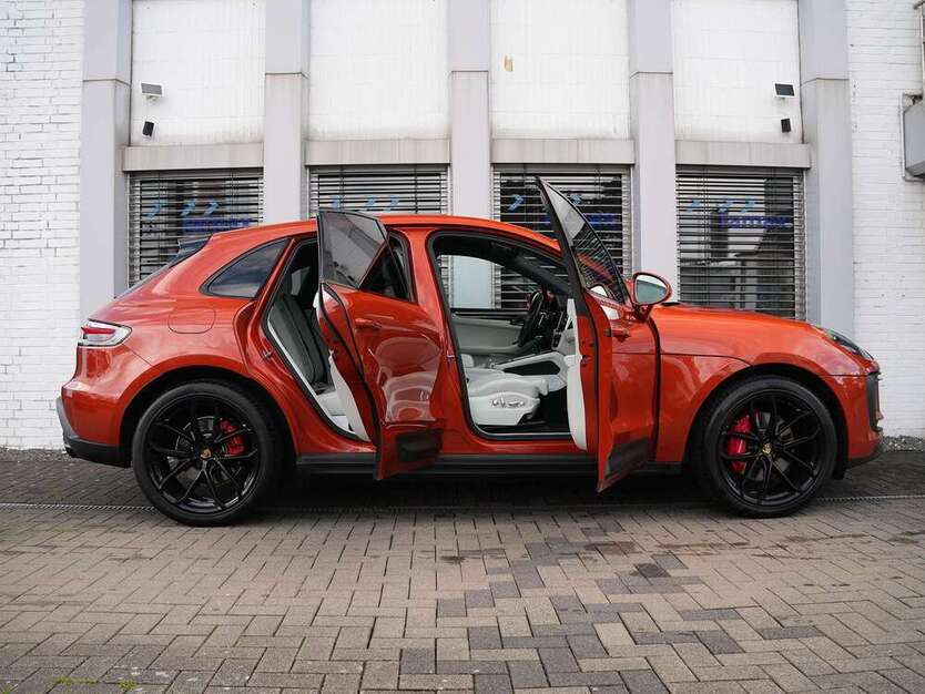 Macan