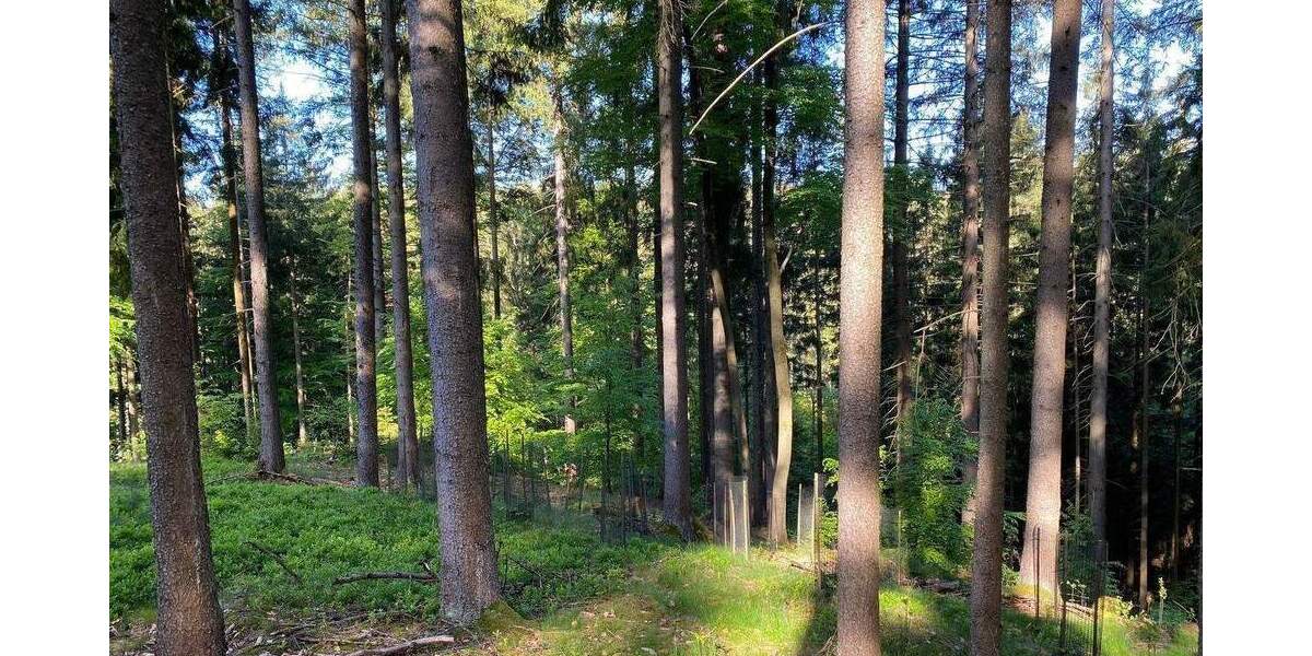 Grundstück Flossenbürg - 170.000&euro; | Angebot:26036735