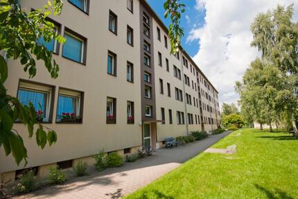 2 Raumwohnung in Frohburg - ab April wieder zu haben 2 zimmer