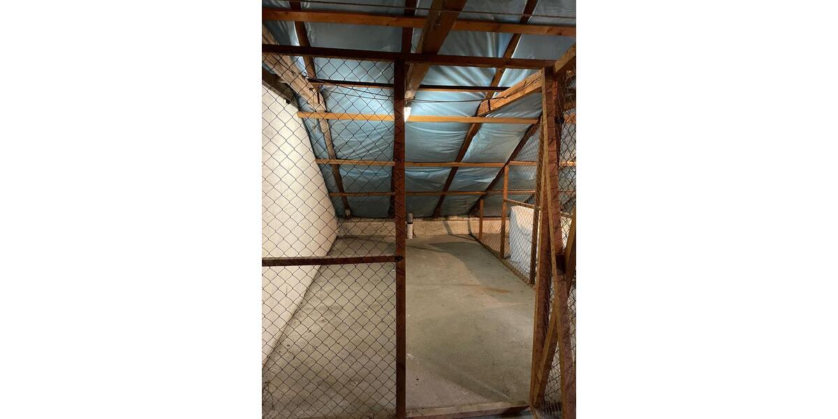 Helle 2.5-Zimmer-Wohnung mit Balkon - frisch saniert 2 zimmer