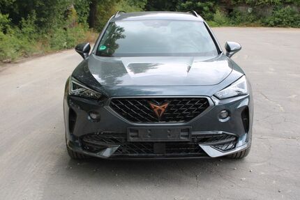 Cupra Formentor 41.100 km 24.890 &euro; Sulzbach-Rosenberg 92237