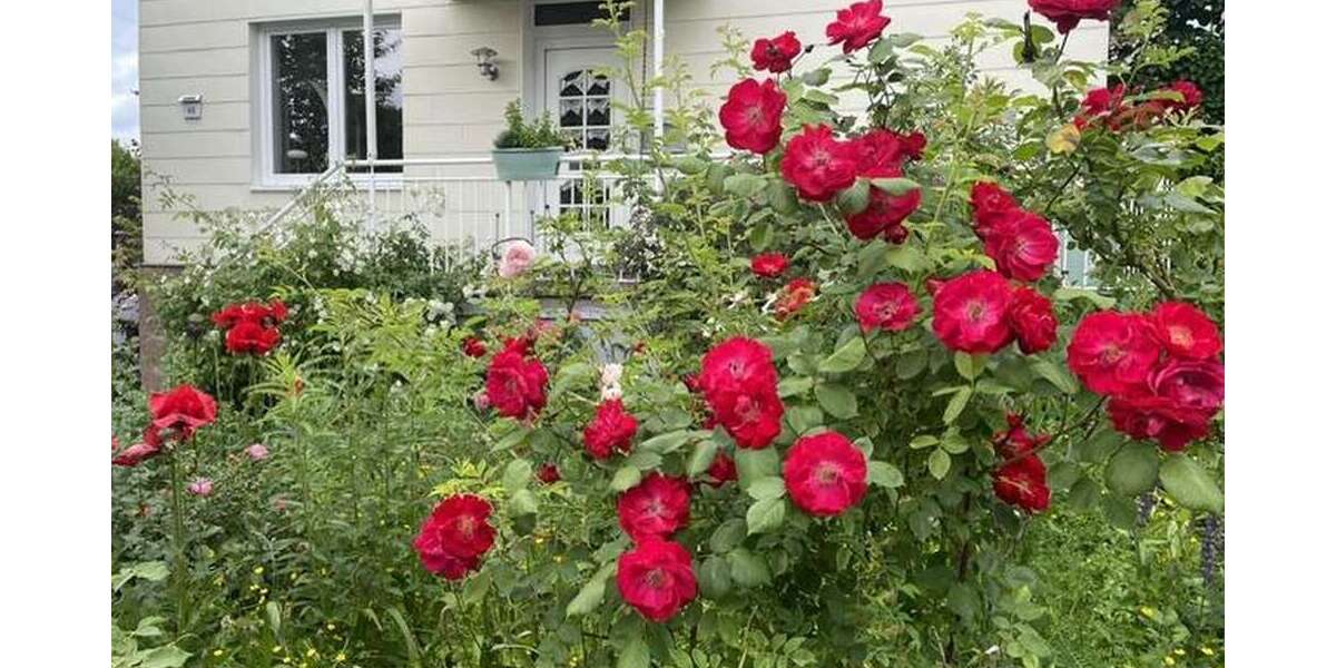 Einfamilienhaus Siegen-Weidenau Weidenau - 7 Zimmer, 175 m&sup2;, 399.000&euro; | Angebot:26821147