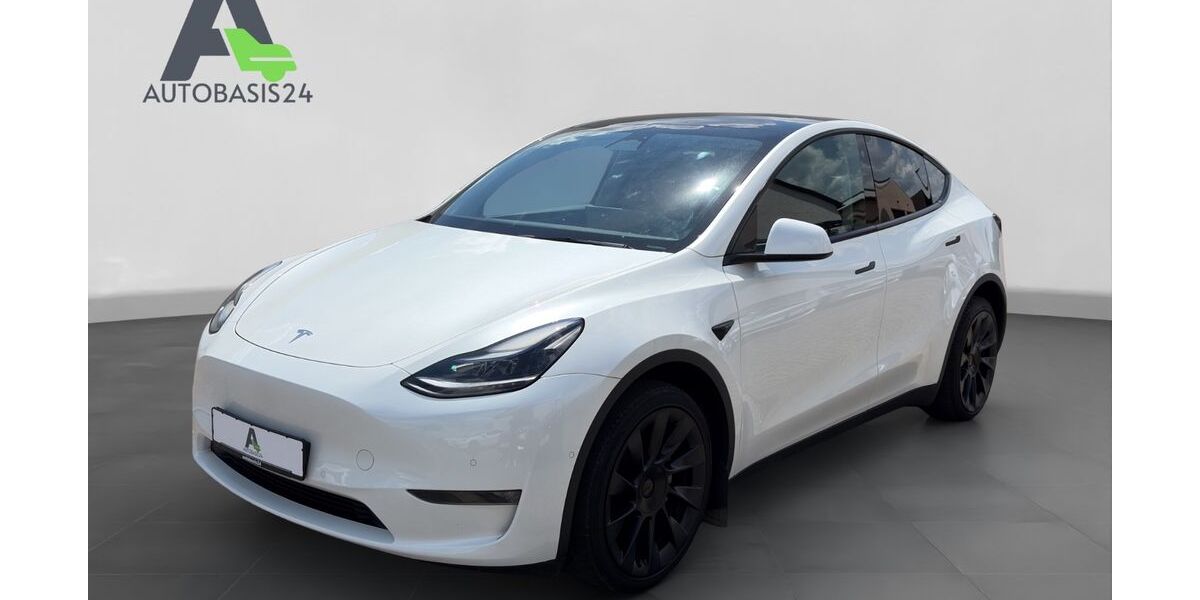 Tesla Model Y 99.100 km 30.900 &euro; Linkenheim-Hochstetten 76351