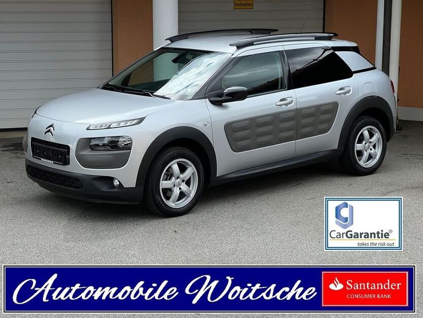 C4 Cactus
