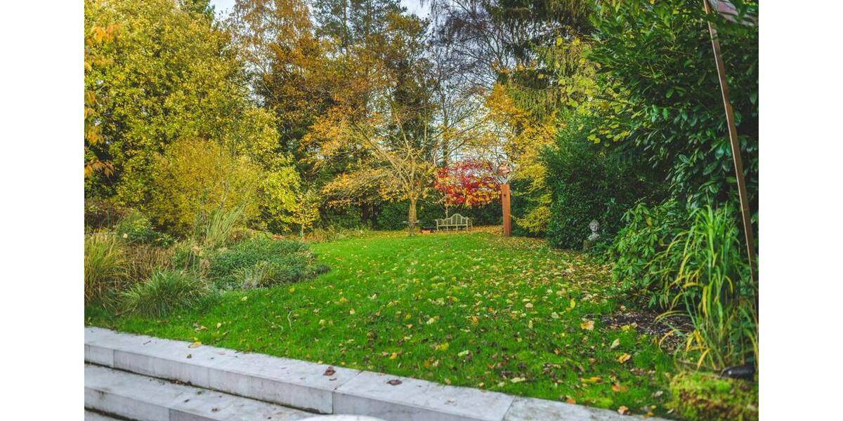 Gewerbeobjekt Roetgen - 2.500&euro; | Angebot:23733284