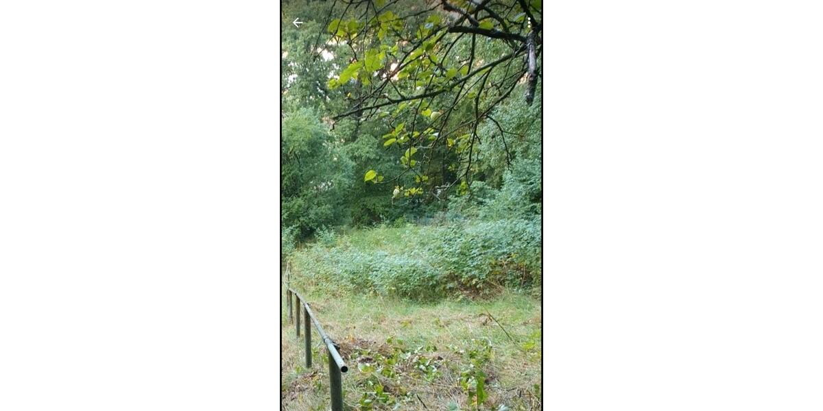 Grundstück Stadtroda - 10.000&euro; | Angebot:26089427