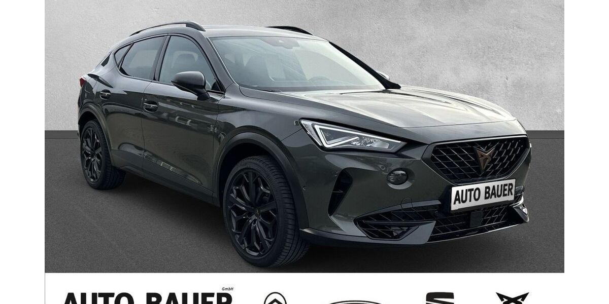 Cupra Formentor 25.242 km 39.990 &euro; Marktheidenfeld 97828