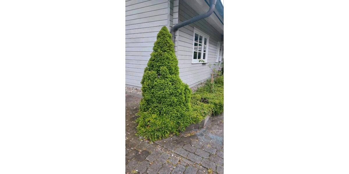 Einfamilienhaus Flensburg Falkenberg - 5 Zimmer, 155 m&sup2;, 530.000&euro; | Angebot:26850834