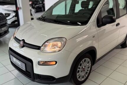 Fiat Panda 33.487 km 11.440 &euro; Hamburg 22525