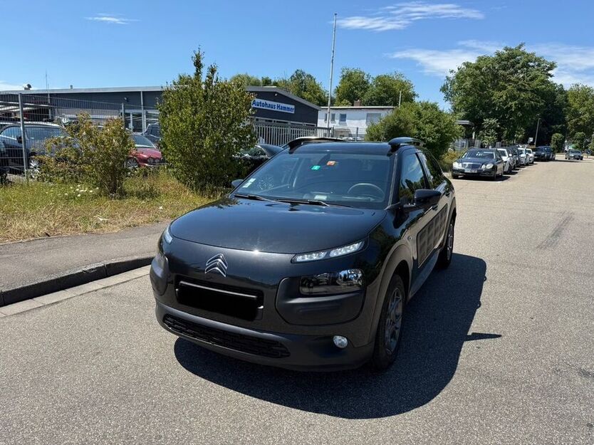 C4 Cactus