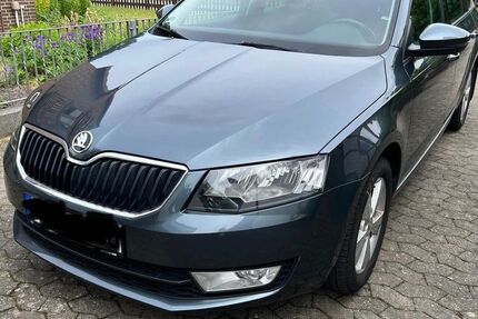 Skoda Octavia 235.134 km 5.450 &euro; Bad Bevensen 29549