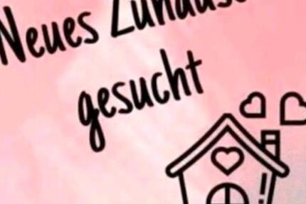 Wohnung Oeversee - 2 Zimmer, 50 m&sup2;, 426&euro; | Angebot:25170582