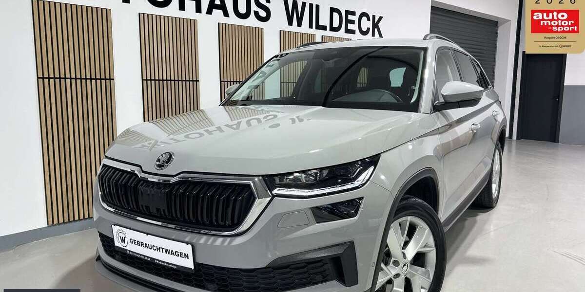 Skoda Kodiaq 109.200 km 29.888 &euro; Abstatt 74232