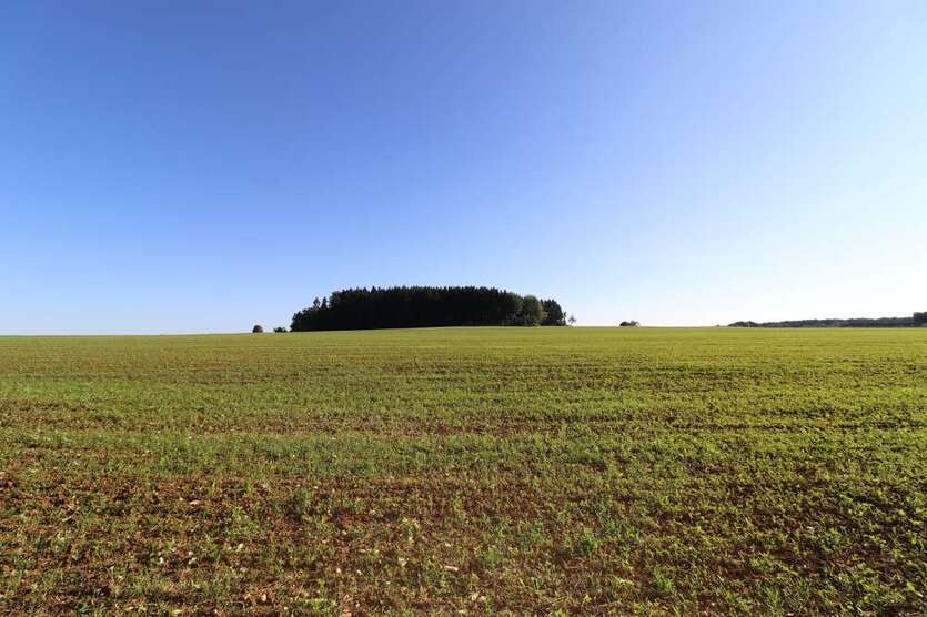 Grundstück zu verkaufen in Münsingen Bremelau 159.000 € 3620 m² zimmer