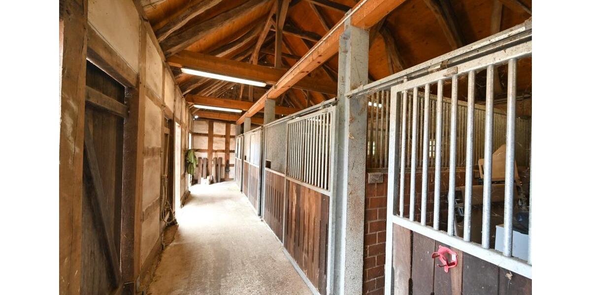 Gewerbeobjekt Badbergen - 170&euro; | Angebot:22011526