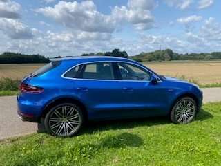 Macan