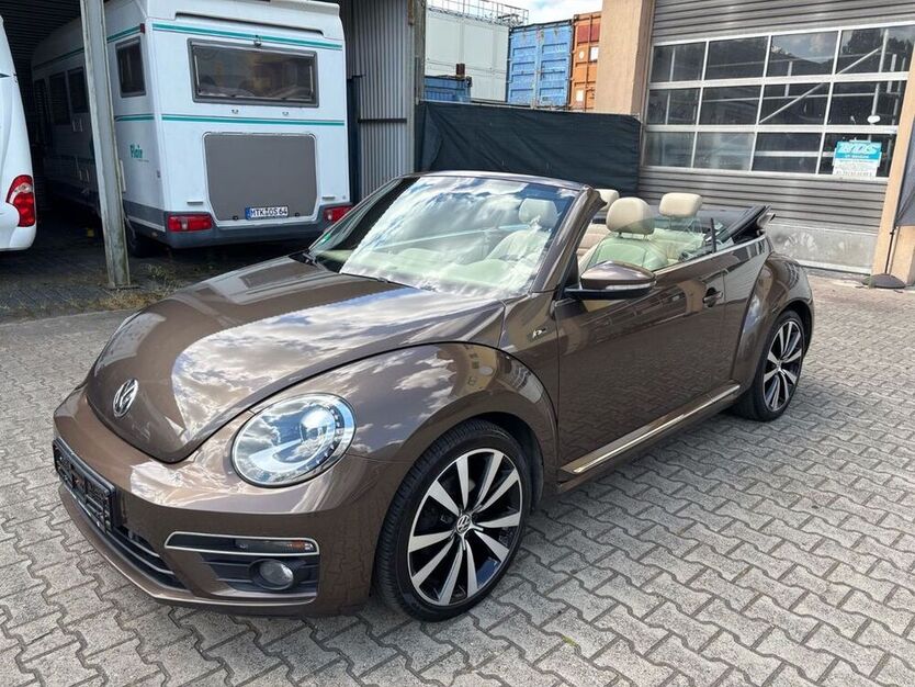 Beetle