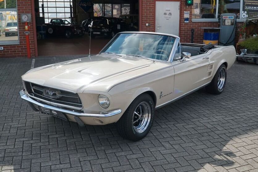 Mustang