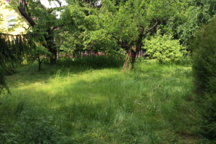 Grundstück Tribsees - 149.000&euro; | Angebot:23768503