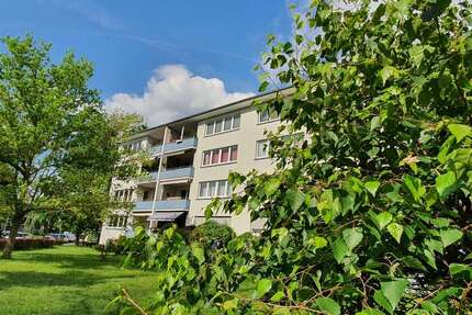 Wohnung zum Mieten in Neu-Isenburg Gravenbruch 1.000 € 95 m² 3 zimmer