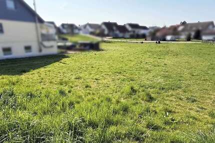 Grundstück Sinsheim - 168.000&euro; | Angebot:26022072