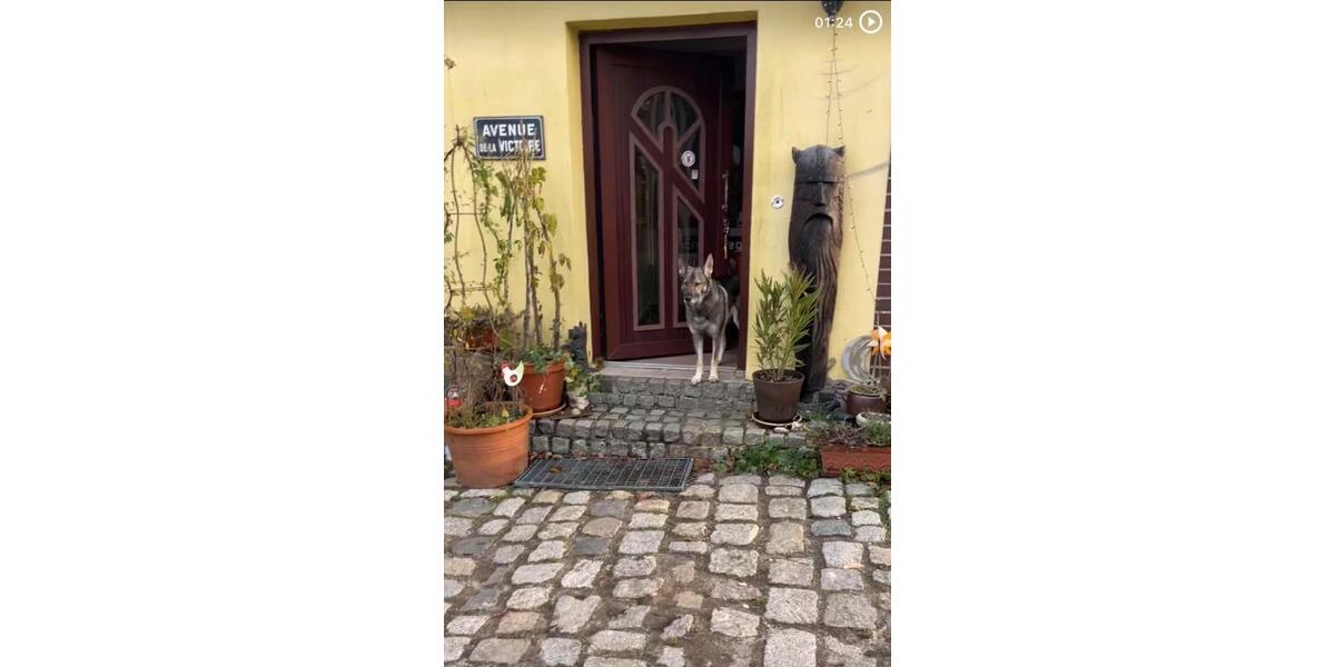 Einfamilienhaus Neukloster - 6 Zimmer, 160 m&sup2;, 450.000&euro; | Angebot:25421058