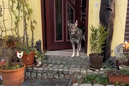 Haus Neukloster - 6 Zimmer, 160 m&sup2;, 450.000&euro; | Angebot:25421058