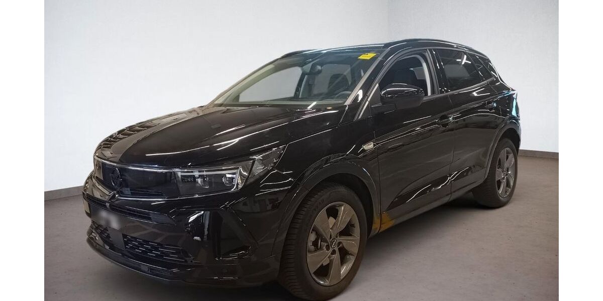 Opel Grandland (X) 10.808 km 21.295 &euro; Parsberg 92331