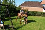 Ferienimmobilie Neuenkirchen - 70&euro; | Angebot:26705290