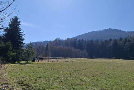 Haus Waltersdorf Waltersdorf - 5 Zimmer, 100 m&sup2;, 169.000&euro; | Angebot:27150925