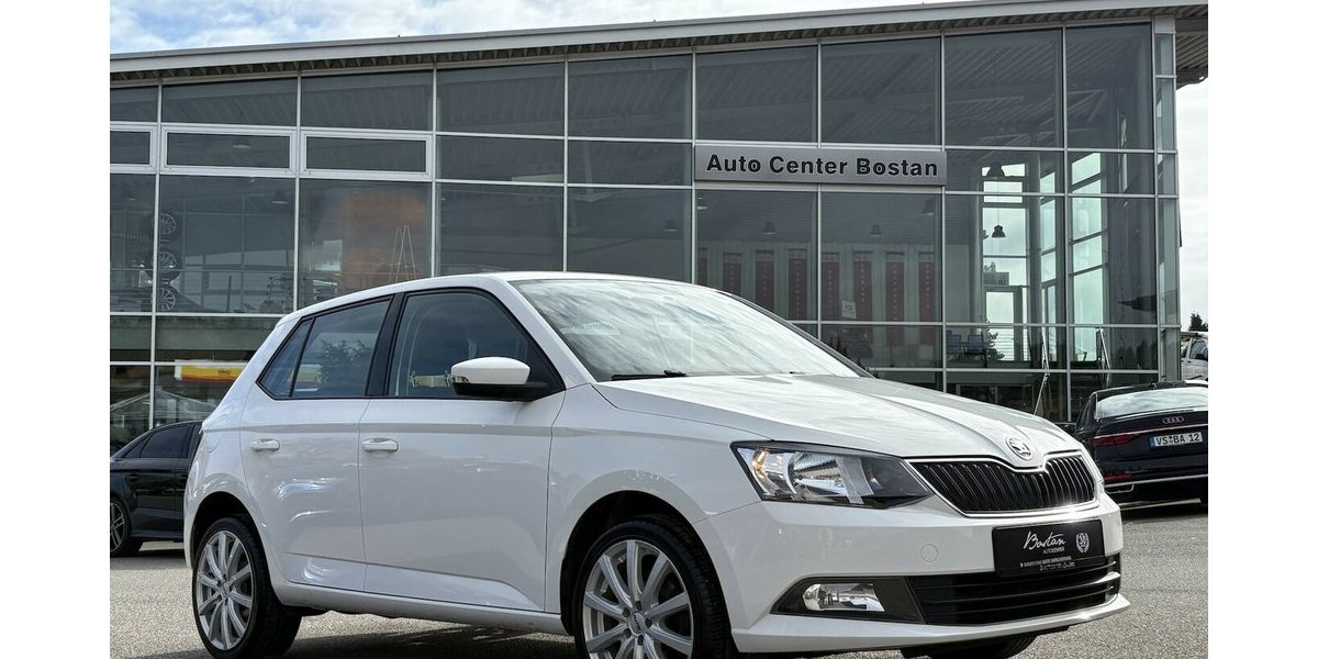 Skoda Fabia 1.2 TSI Ambition ANHÄNGERKUP./SITZHEIZUNG 111.546 km 8.900 &euro; Villingen-Schwenningen 78054
