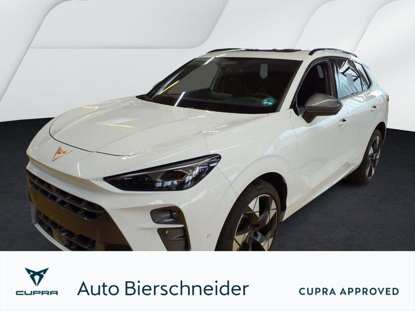 Cupra Terramar 25.990 km 44.950 € Gunzenhausen 91710