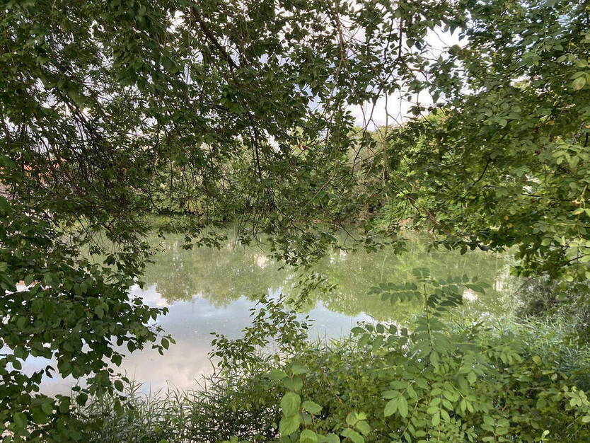 Privatverkauf Grundstück für EFH mit Seeblick