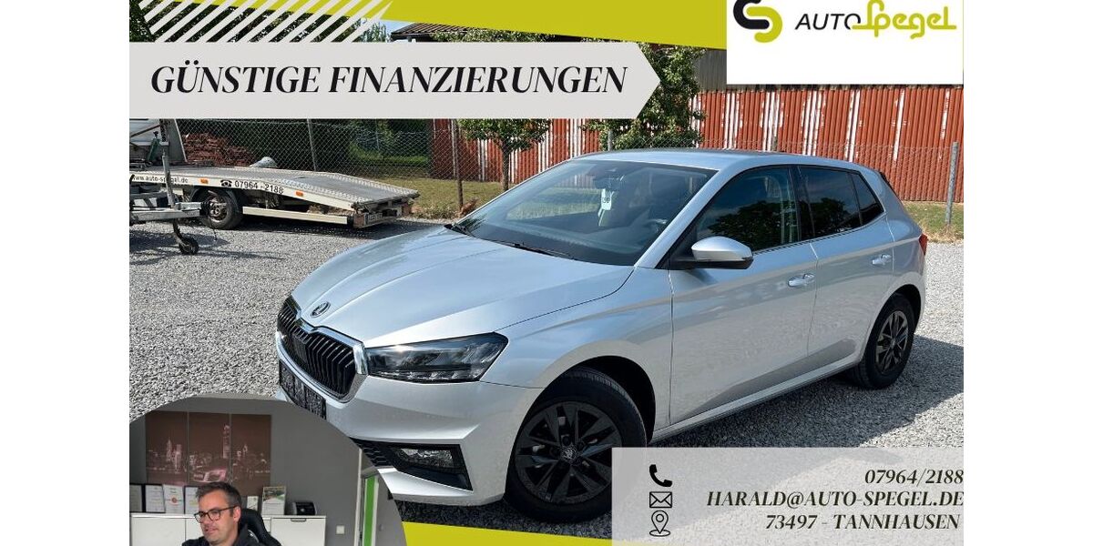 Skoda Fabia 18.508 km 16.390 &euro; Tannhausen 73497