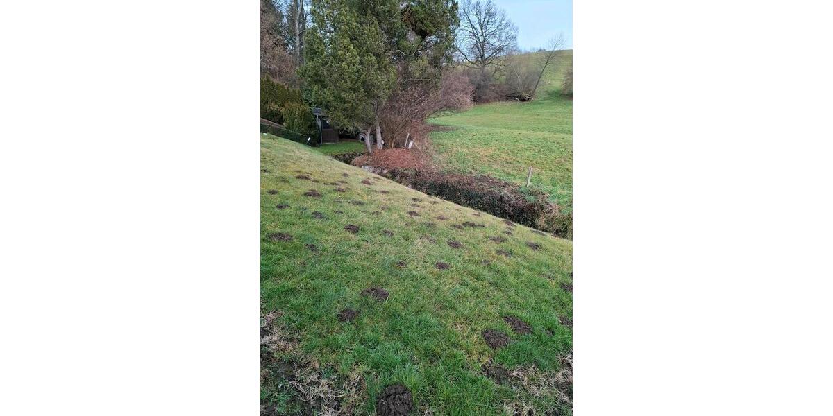 Einfamilienhaus Mörlenbach - 7 Zimmer, 140 m&sup2;, 499.000&euro; | Angebot:24786358