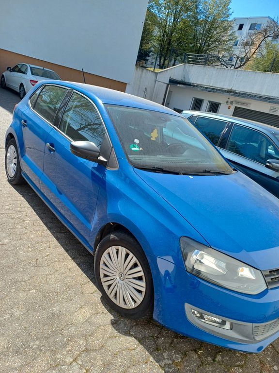 Polo
