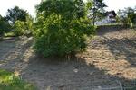 Gewerbeobjekt Haibach - 165&euro; | Angebot:11781245